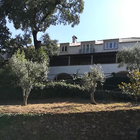 卡什塔涅拉德佩拉Casa Ribeira De Pera别墅 外观 照片